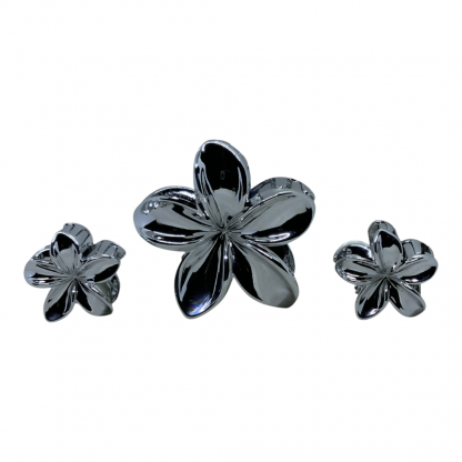 Gancho de pelo FF. MY-BA09A4021 Plata
