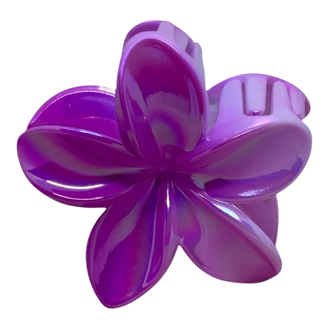 Broche FF. HP150244-B - Image 2