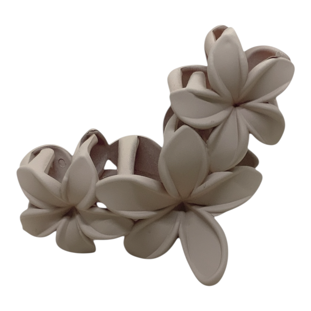 Broche FF. HP150265-A - Image 2